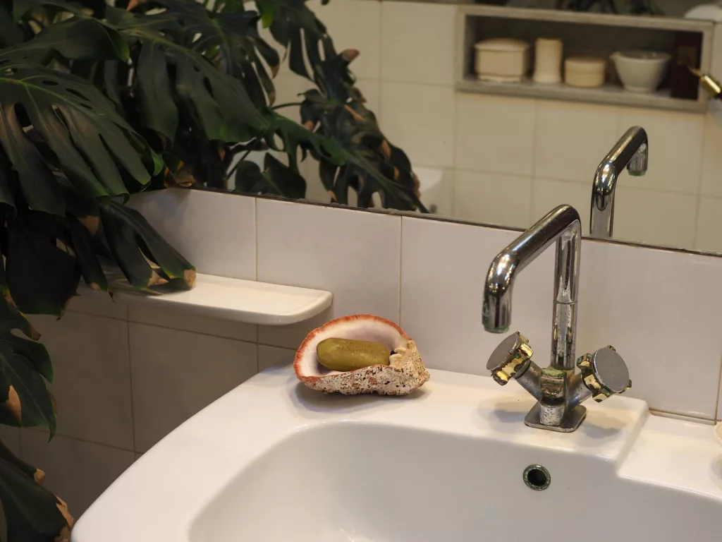 Interior view of César Manrique's house in Lanzarote with a soap shell box.