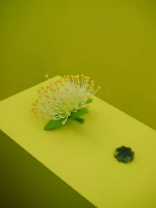 Olfactory art installation by Alexis Foiny