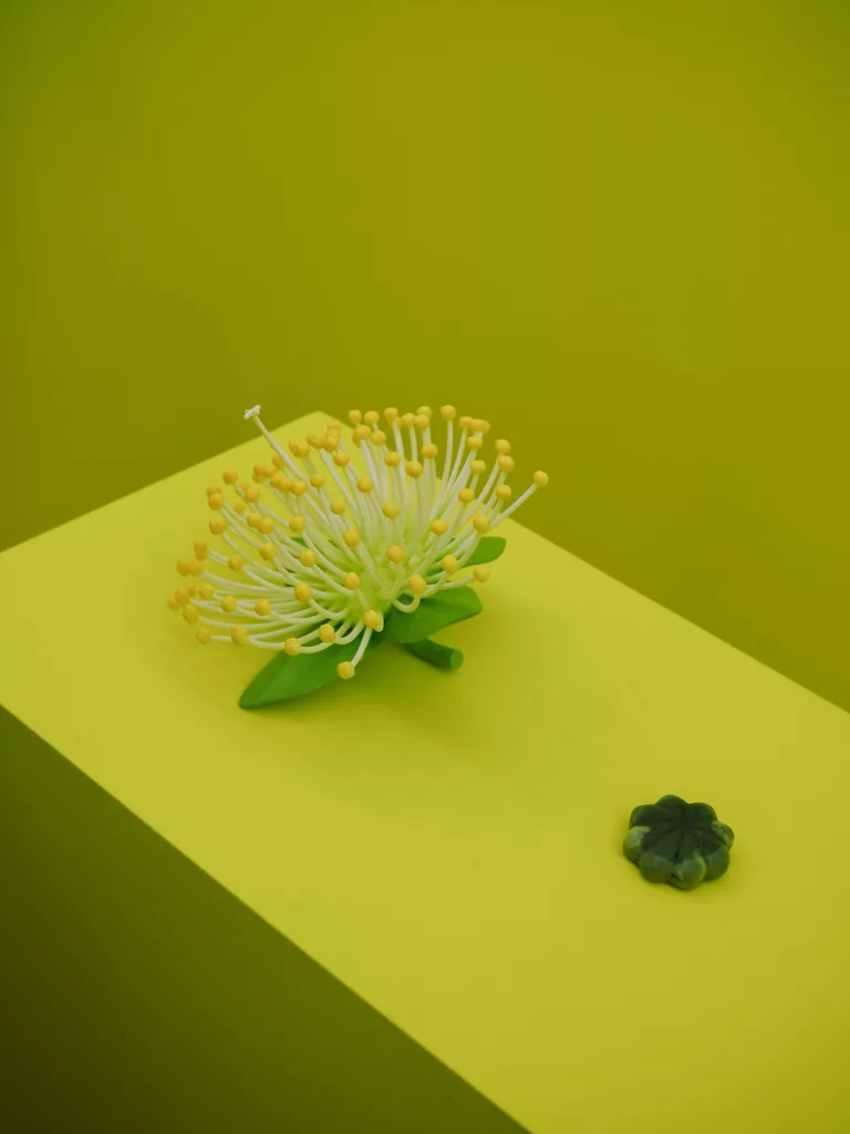 Olfactory art installation by Alexis Foiny