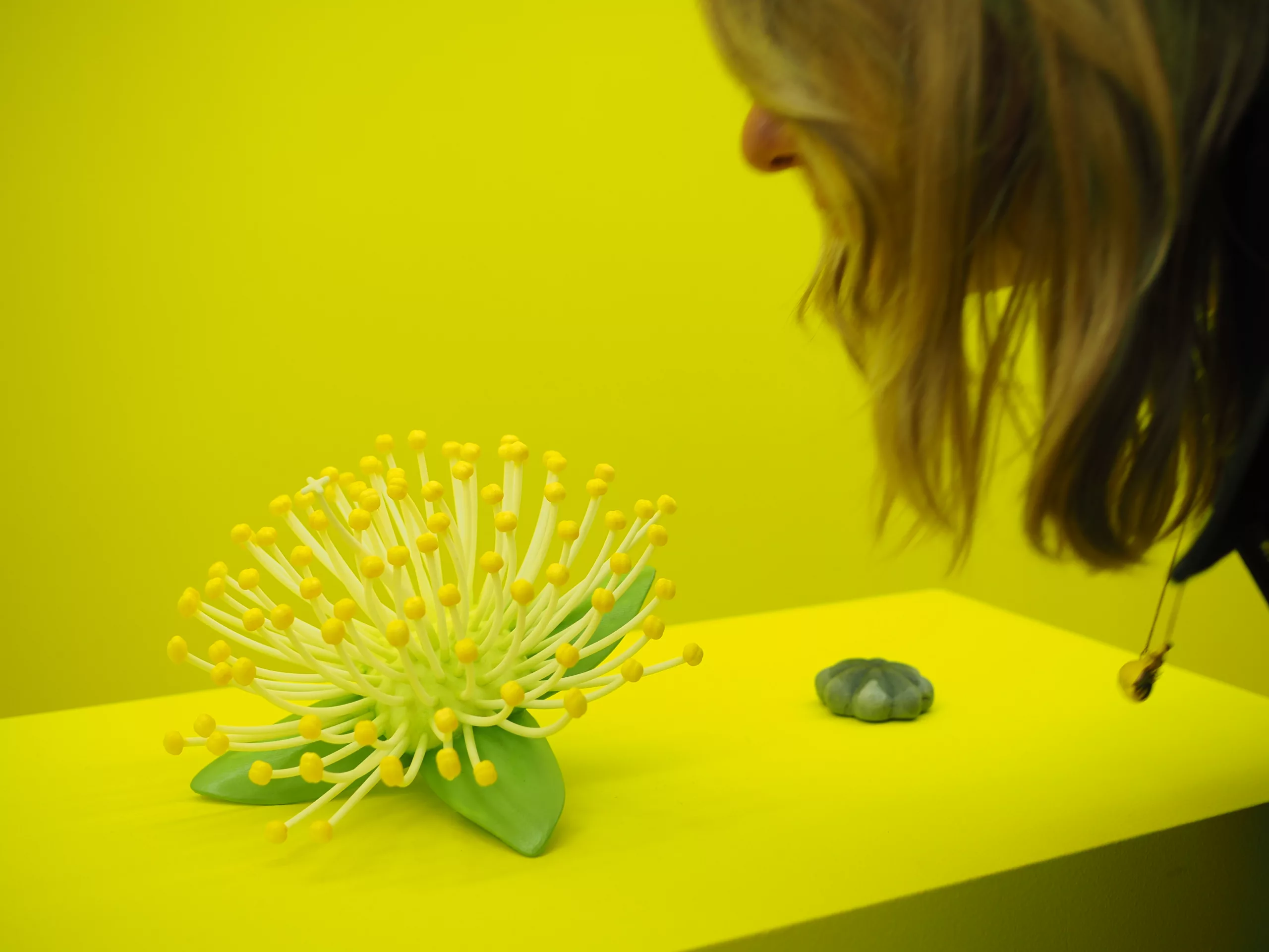 Smelling inside Resurgences olfactory art installation